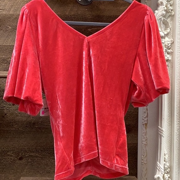 NWT Free People Cupcake Velvet Short Sleeve Top Size Large - Picture 4 of 10
